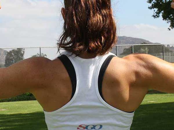 shoulders